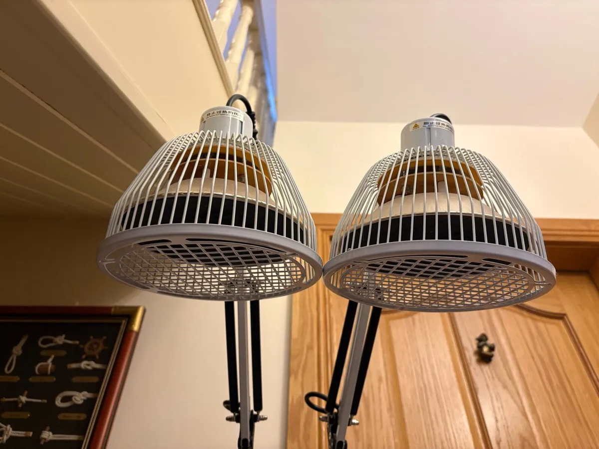 Heat Lamp Twin Head - Image 1