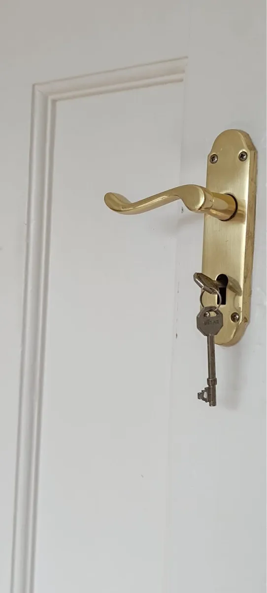 Orginal 1930s internal door - Image 2