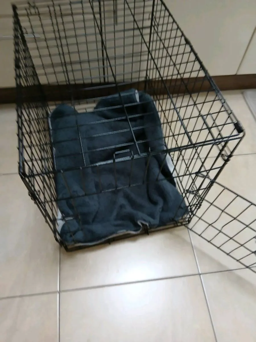 PET CARRYING CAGES     ALL LIKE NEW - Image 2