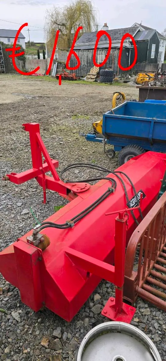 Yard clear out - Image 3