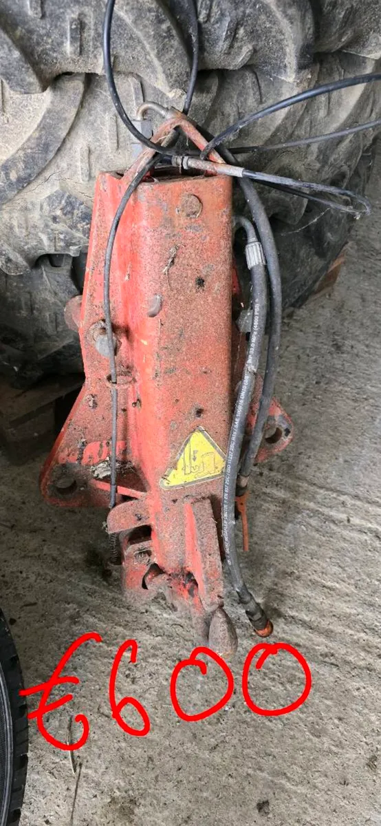 Yard clear out - Image 2