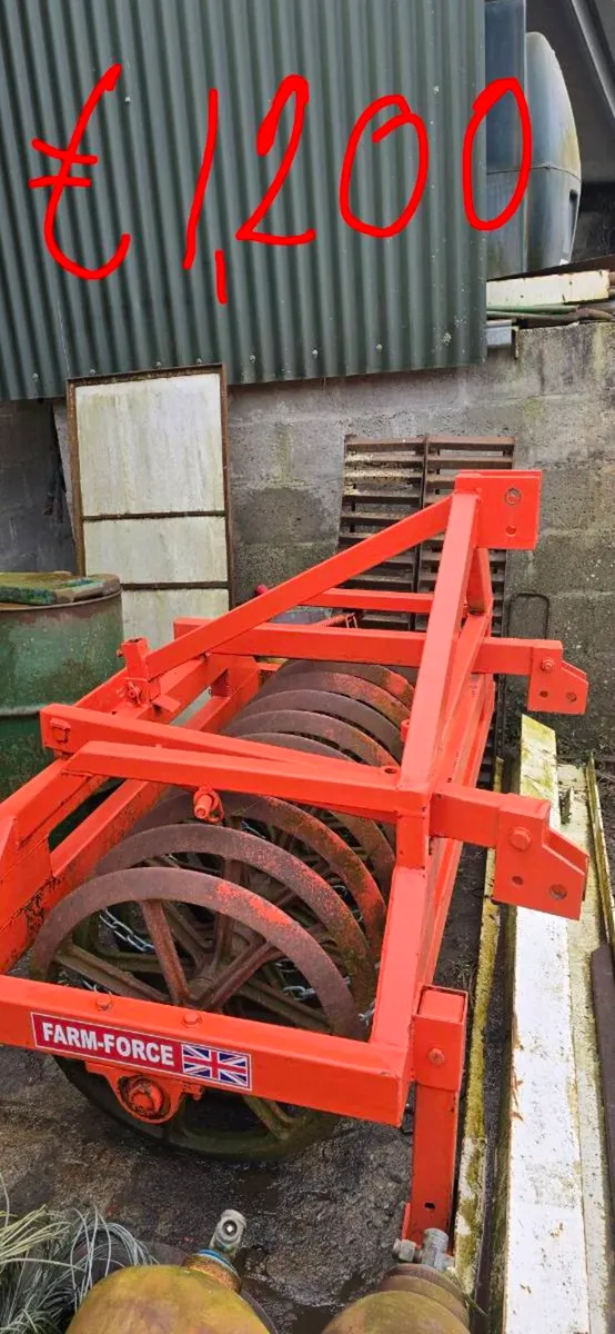 Yard clear out - Image 4