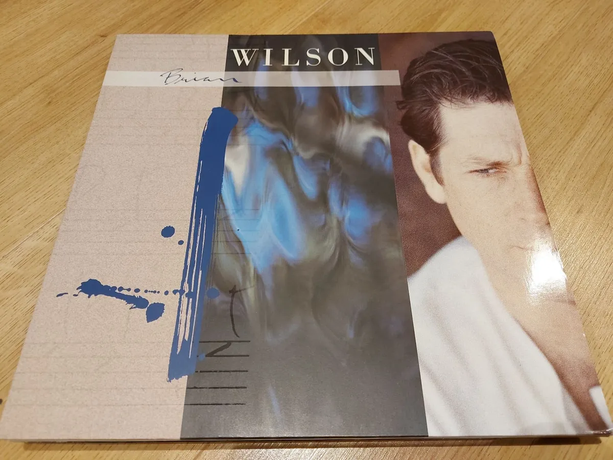 BRIAN WILSON - BRIAN WILSON - VINYL RECORD LP - Image 1