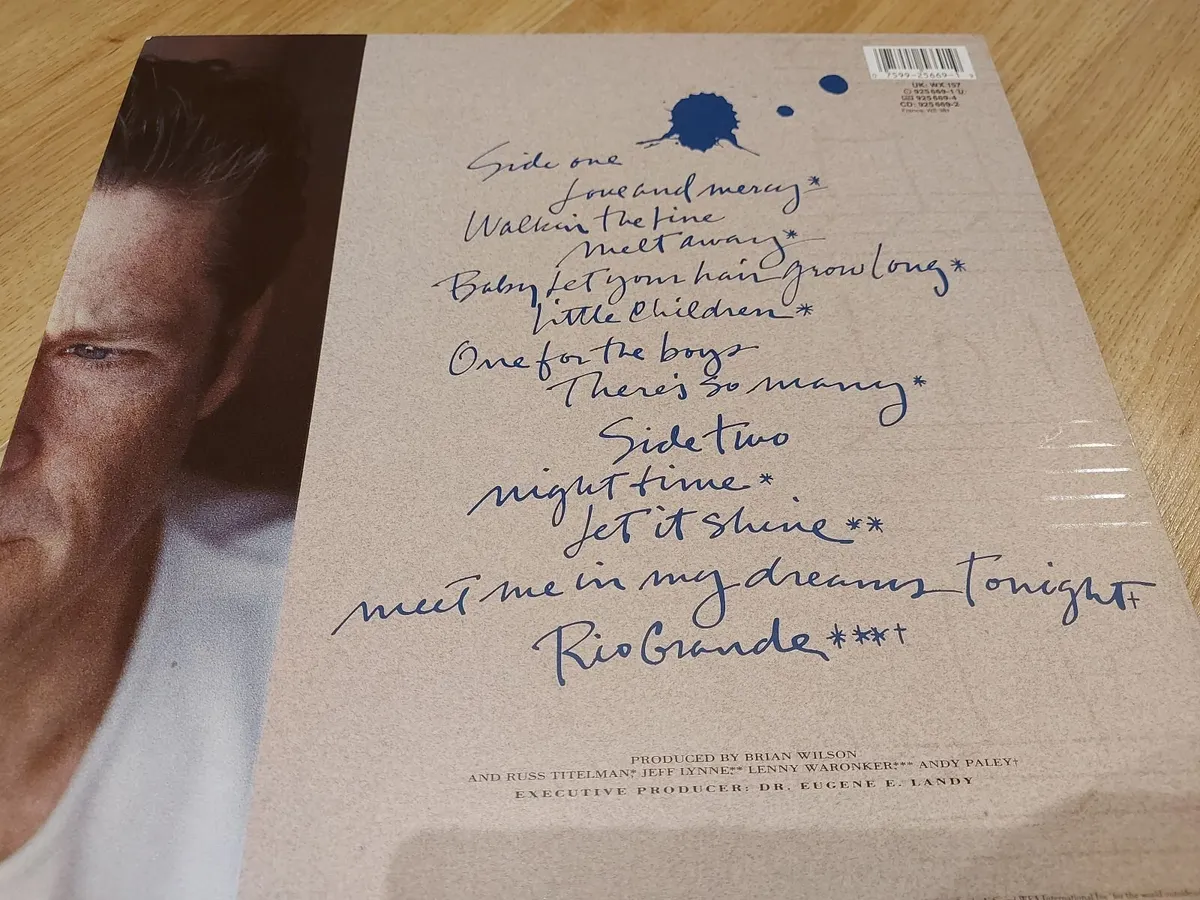 BRIAN WILSON - BRIAN WILSON - VINYL RECORD LP - Image 2