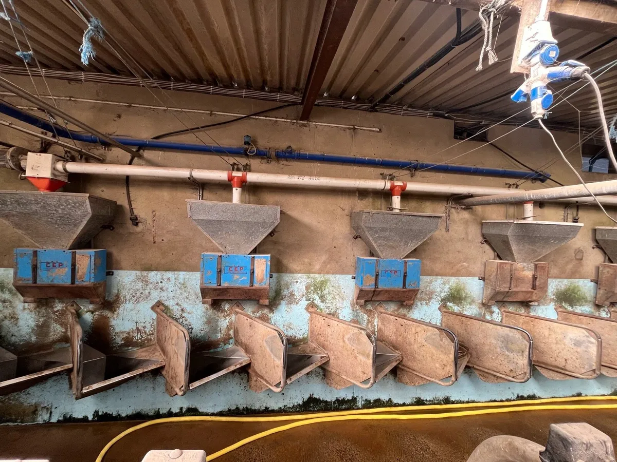 CASHMAN FEEDERS - Image 2