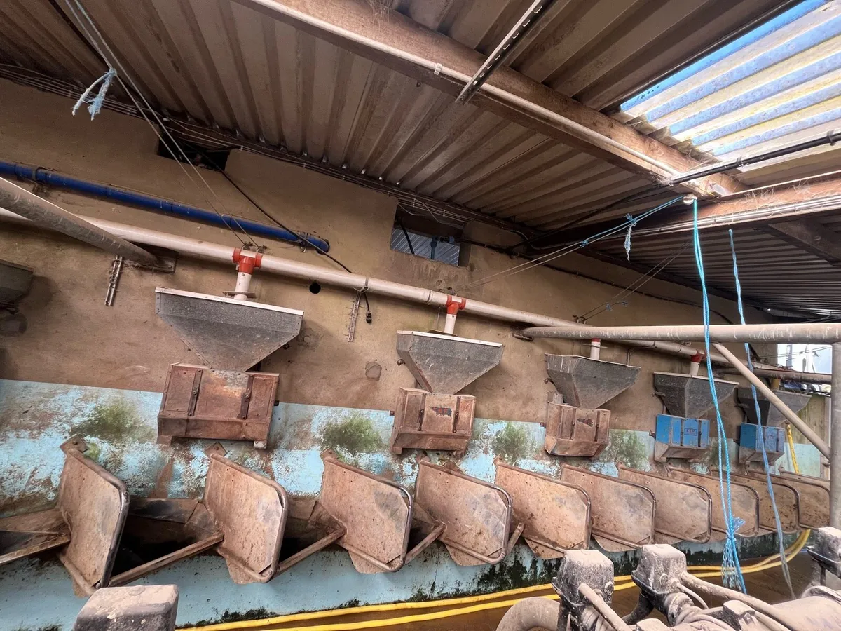 CASHMAN FEEDERS - Image 3