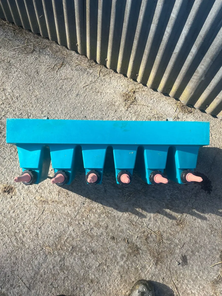 Calf feeders - Image 1