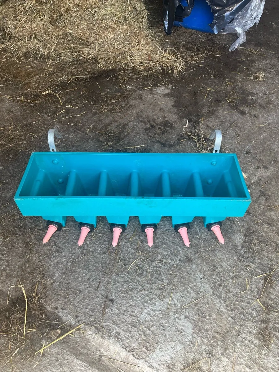 Calf feeders - Image 3