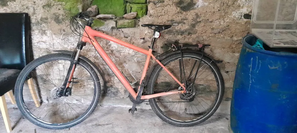 Mountain bike - Image 1