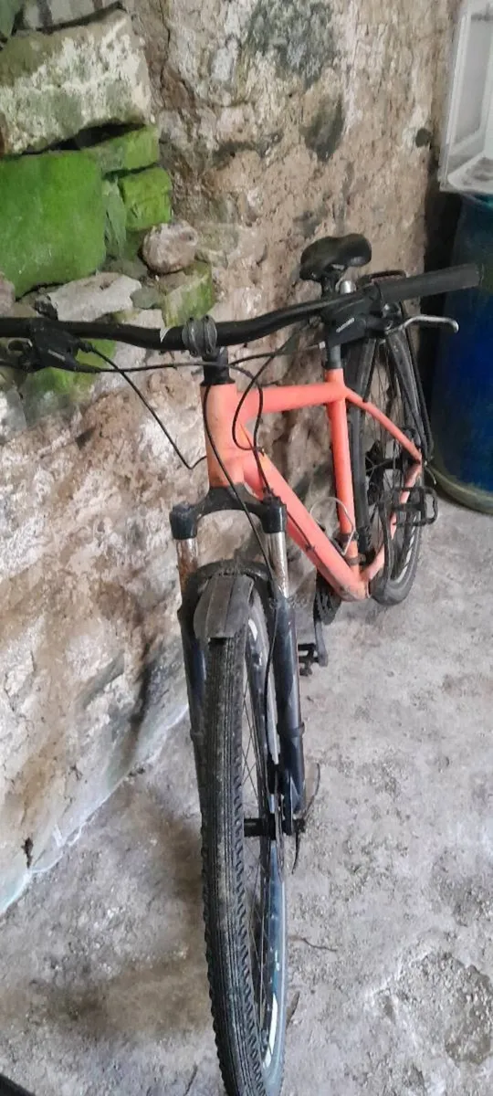 Mountain bike - Image 2