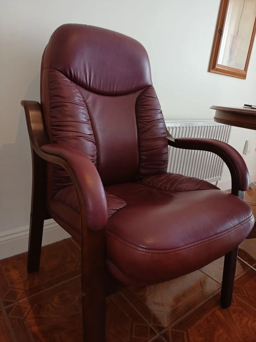 Two Orthopedic Chairs fir sale - Image 1