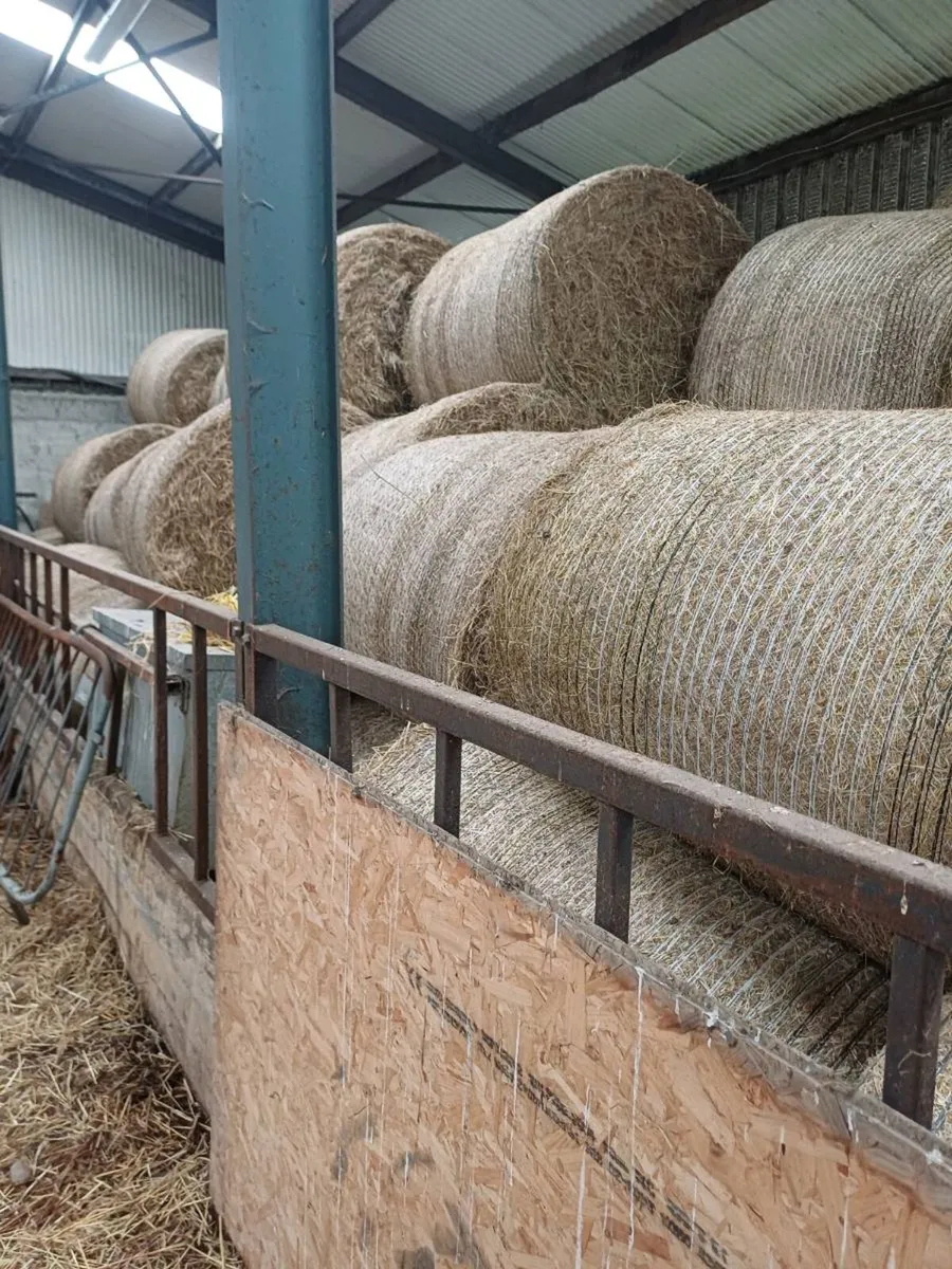 Round bales of Hay