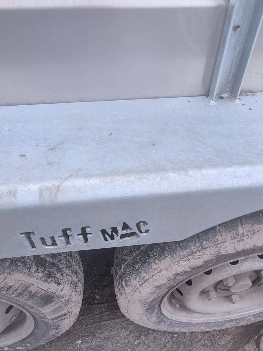 Cattle trailer - Image 4