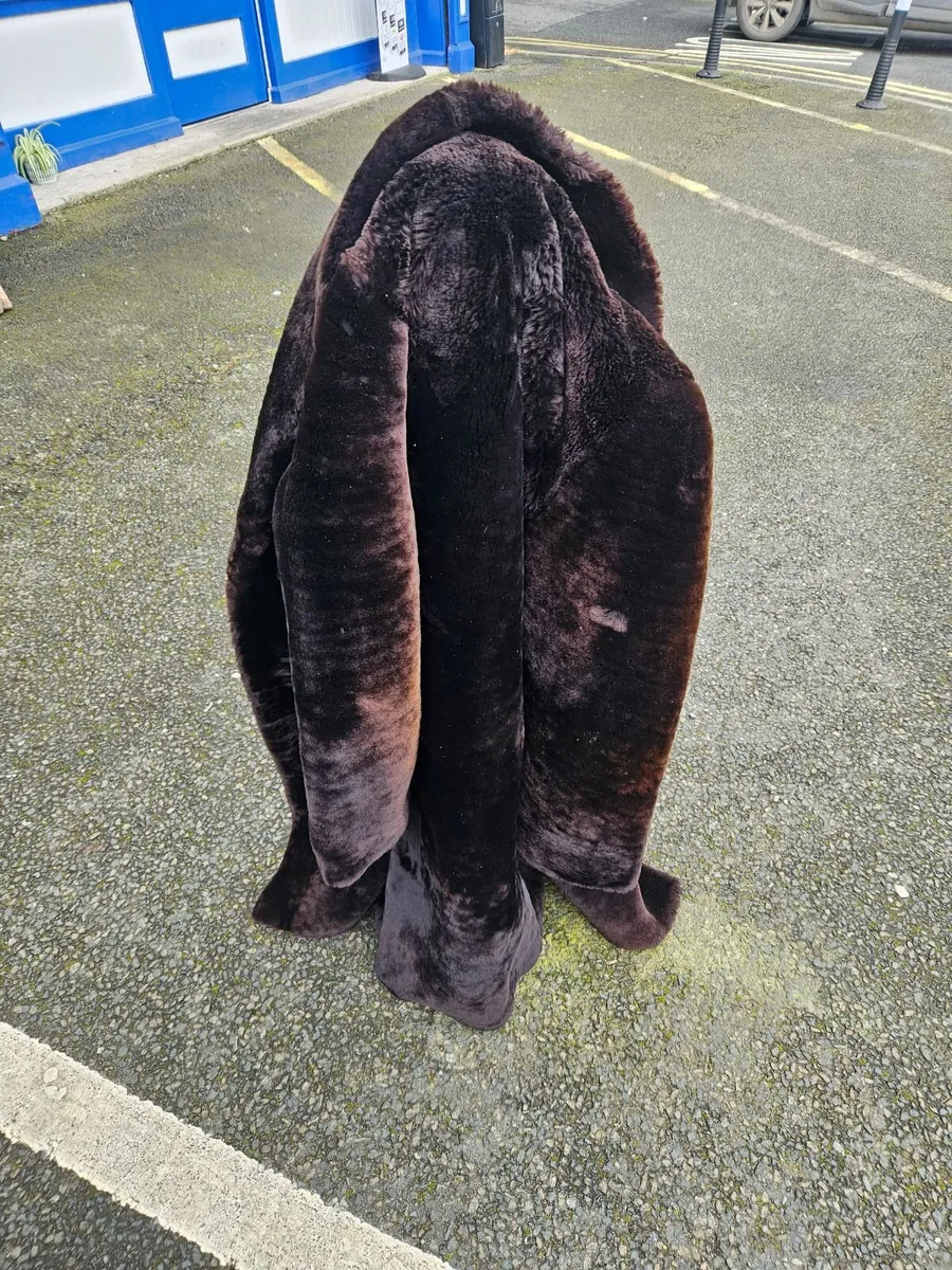 Vintage Fur Coat - Image 2