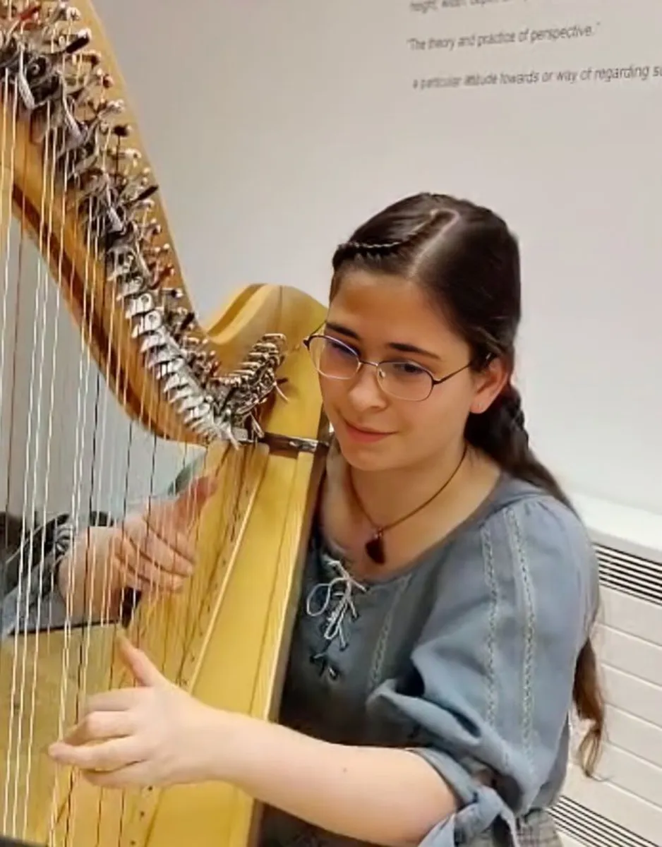 Harp lessons in person and online