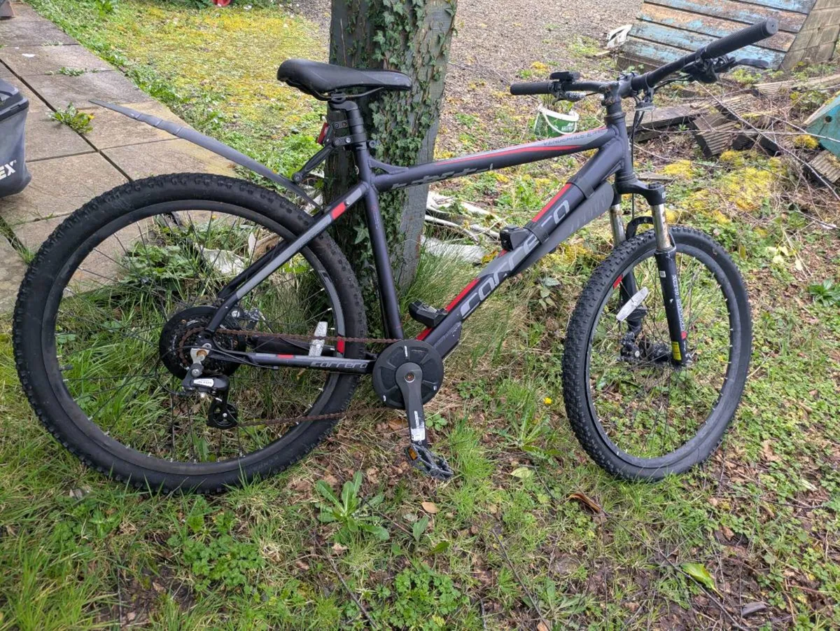 Carrera Vengeance E Spec mountain bike - Image 1