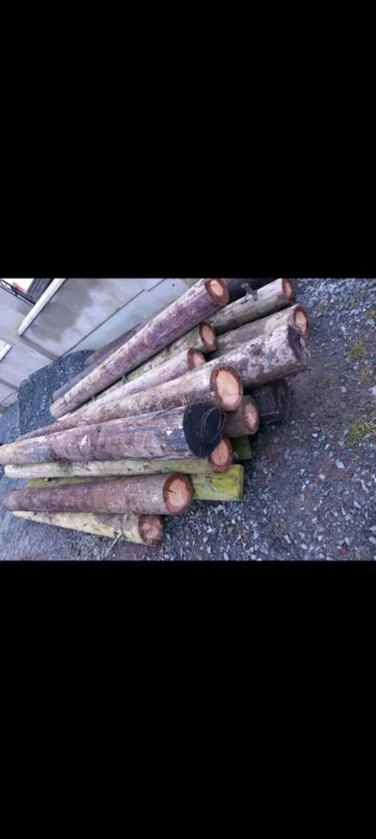 Gate posts/ heavy strainers - Image 1