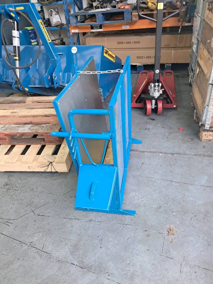 Calf dehorning crate. - Image 3