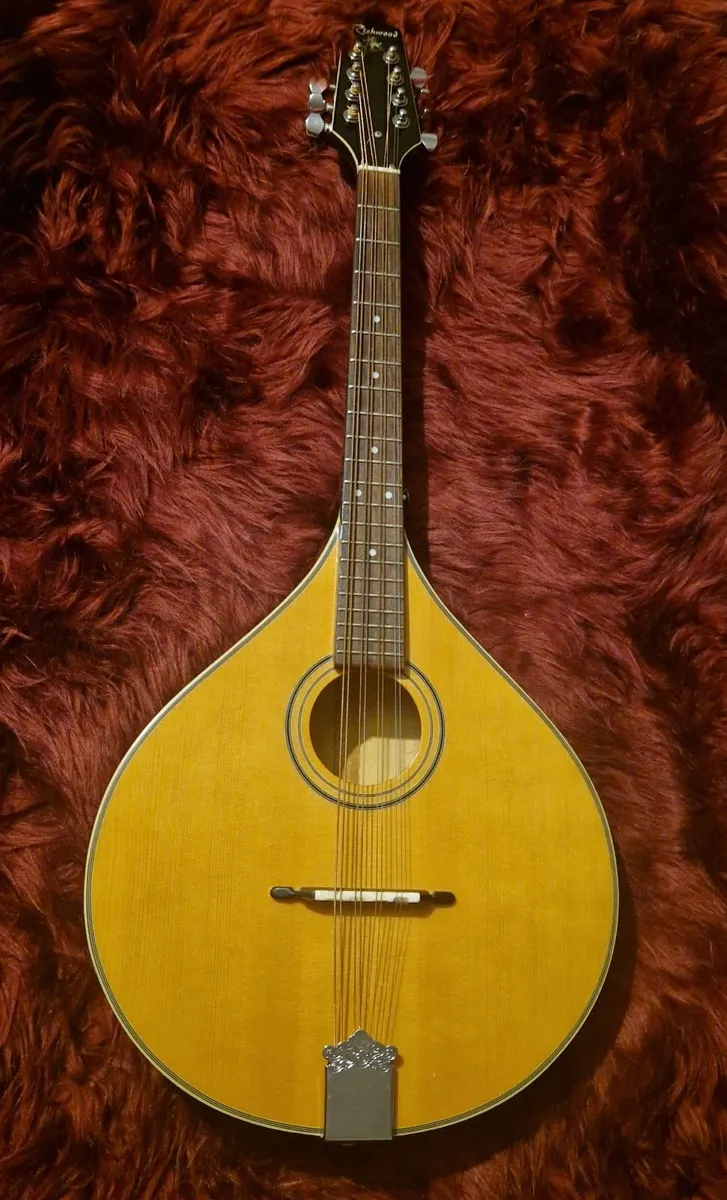 Music instrument - Image 1