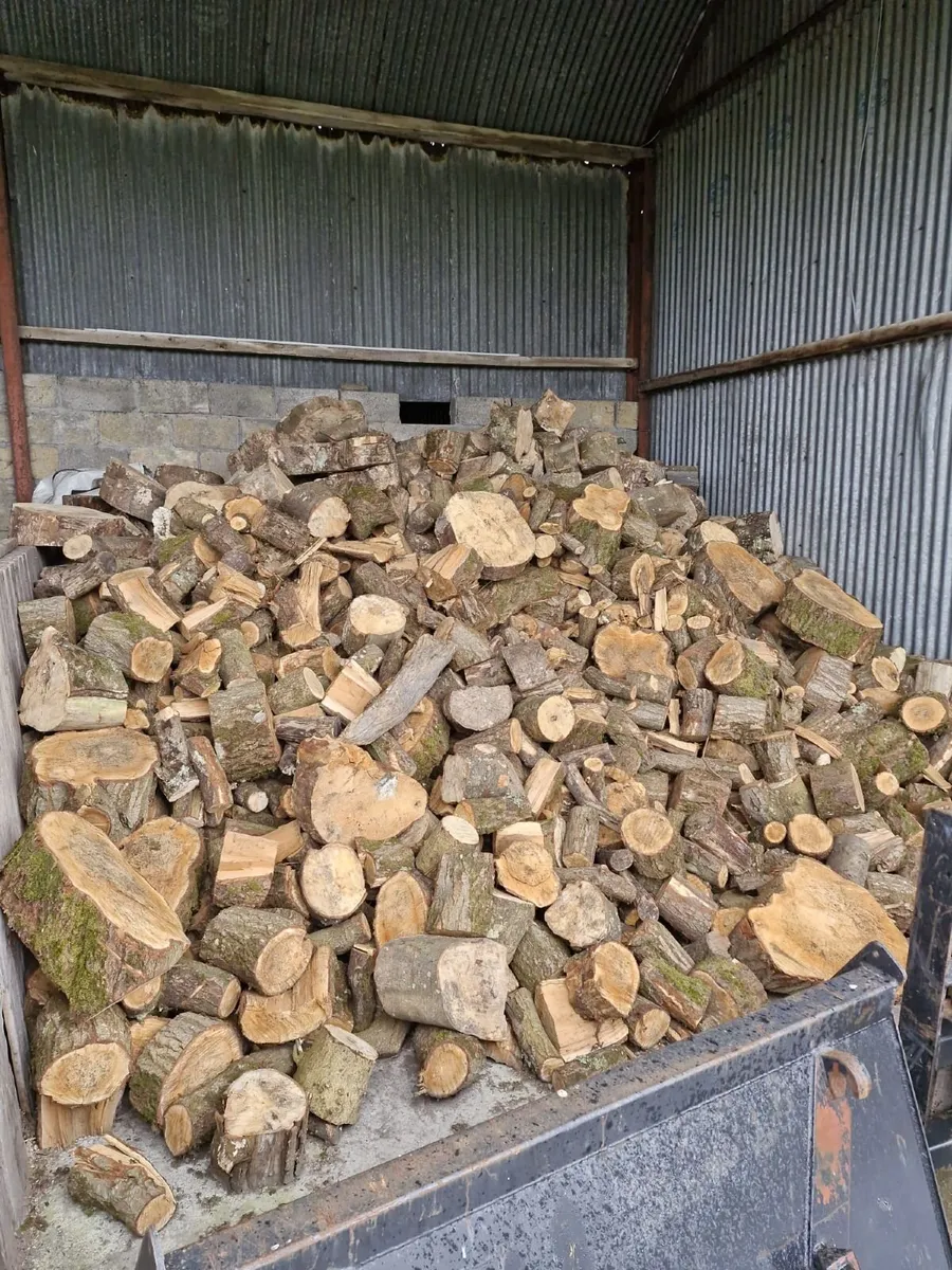 Firewood