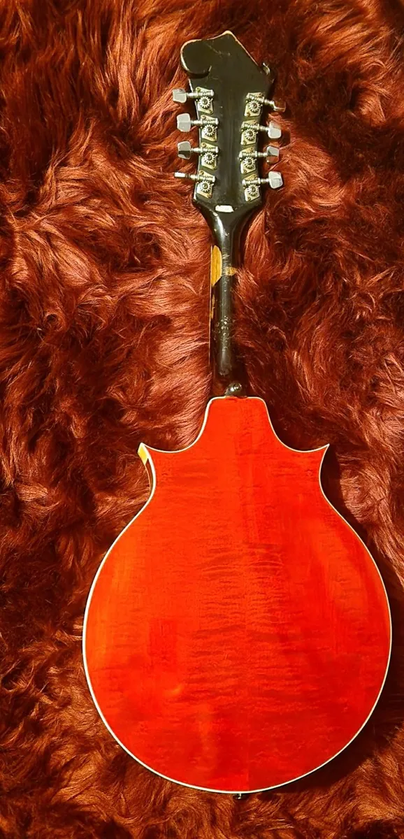 Music instrument - Image 2