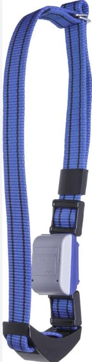 DeLaval Activity Collars For Sale - Image 3
