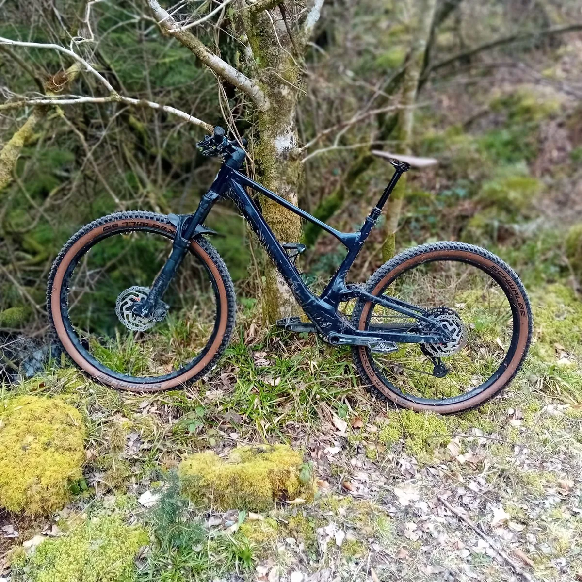 Mountain Bike - Image 1