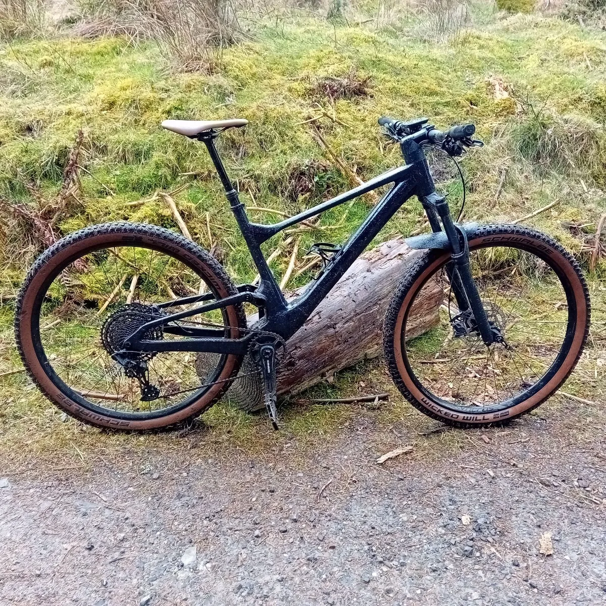 Mountain Bike - Image 2