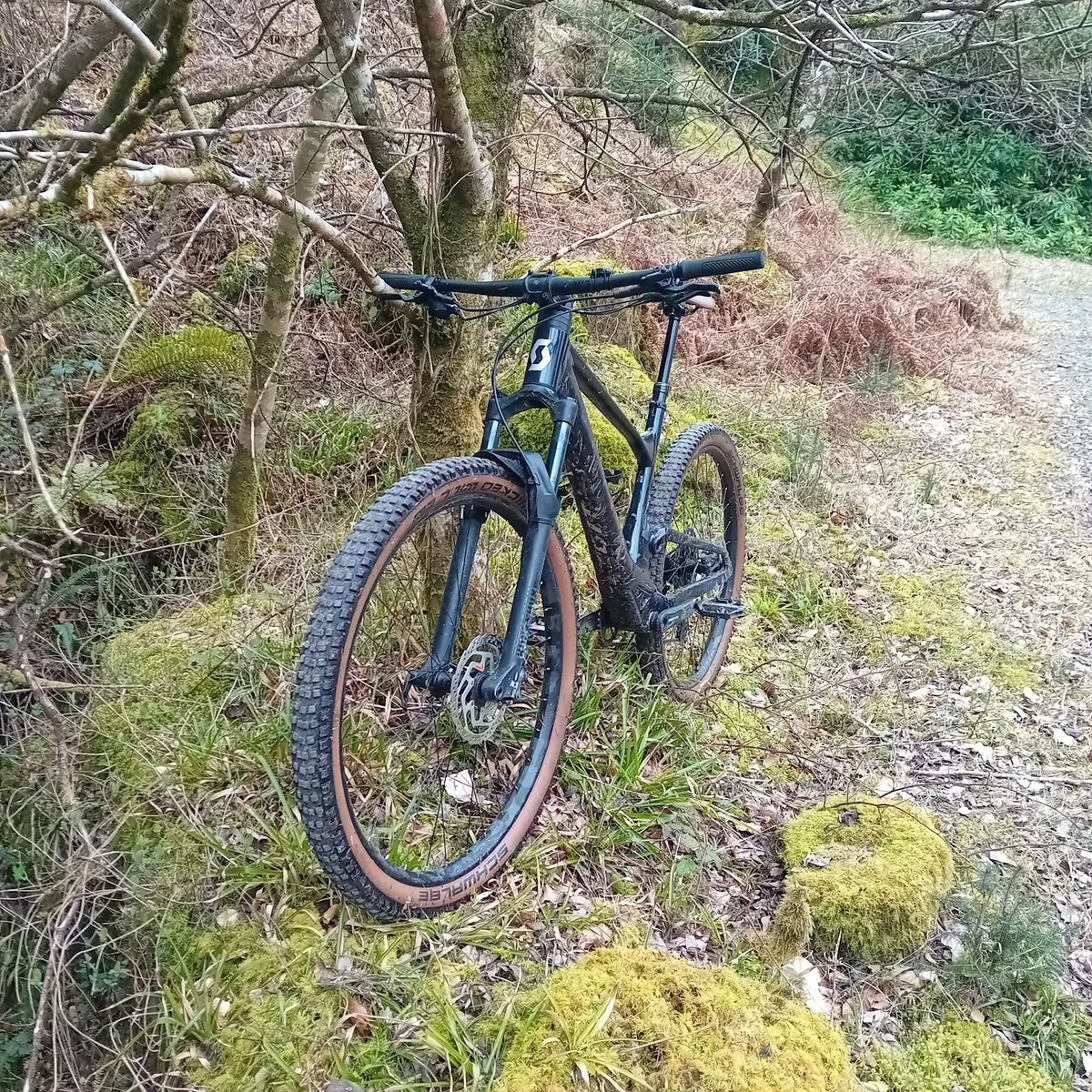 Mountain Bike - Image 3