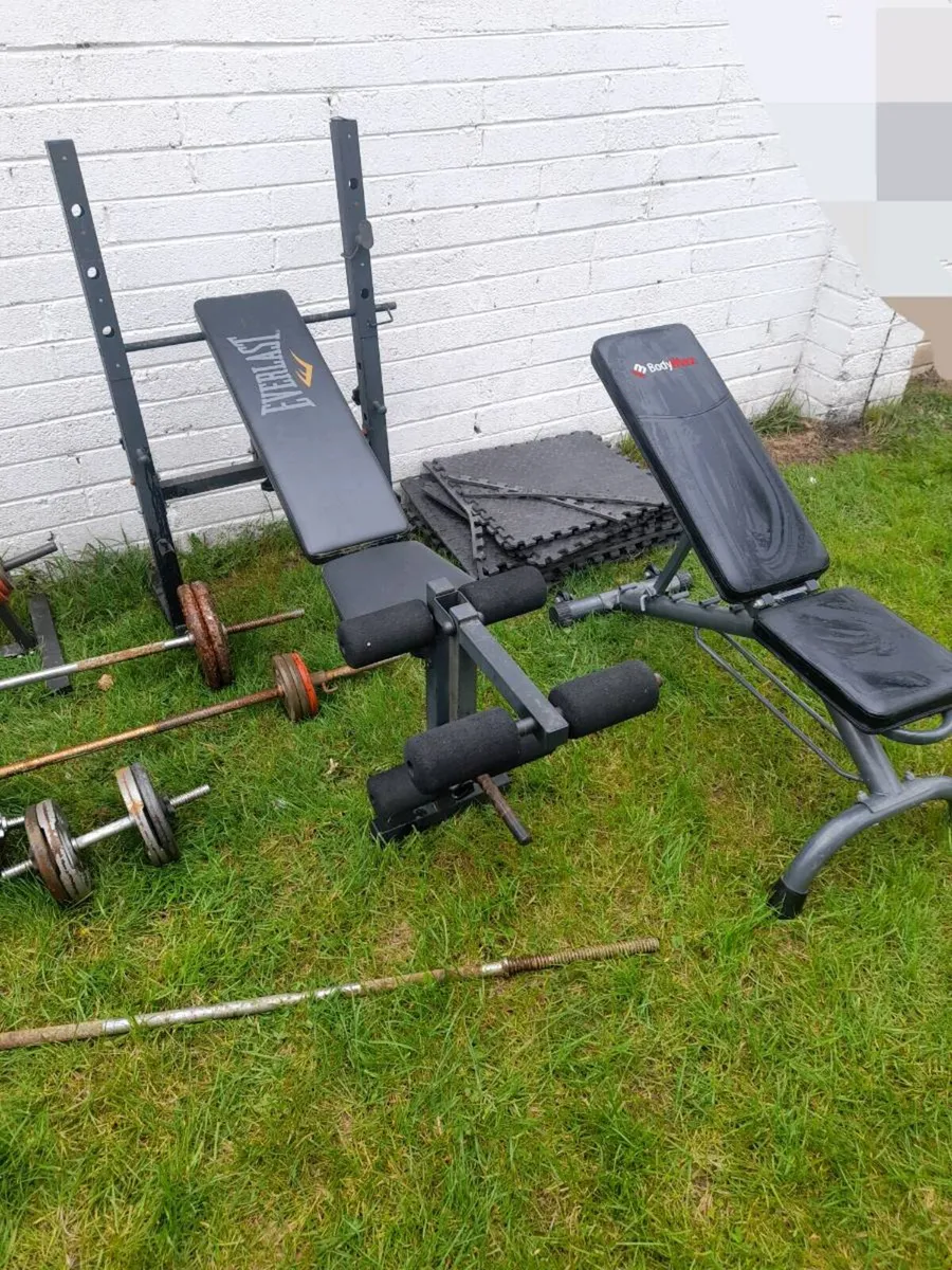 Weights and 2 benches for sale - Image 3