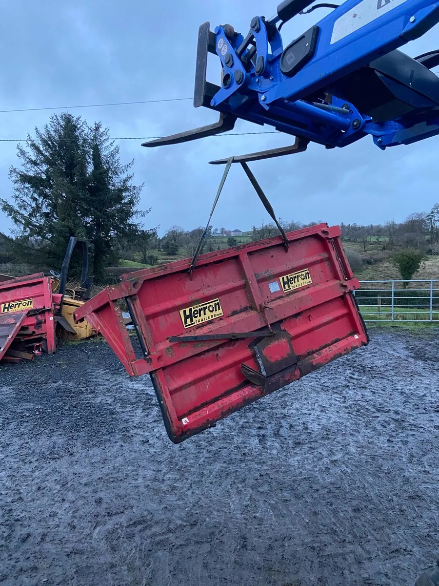 Herron Tail Door - Image 4