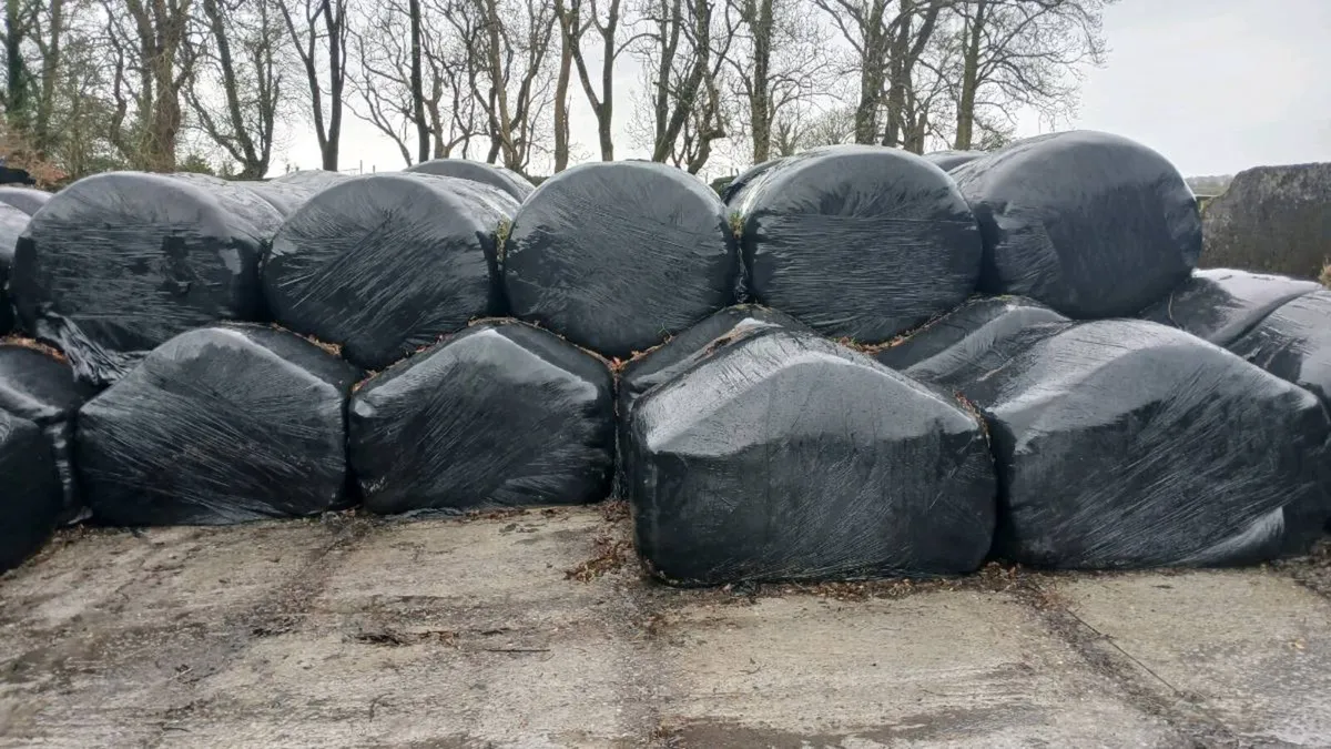 Round Bales 1st Cut - Image 1