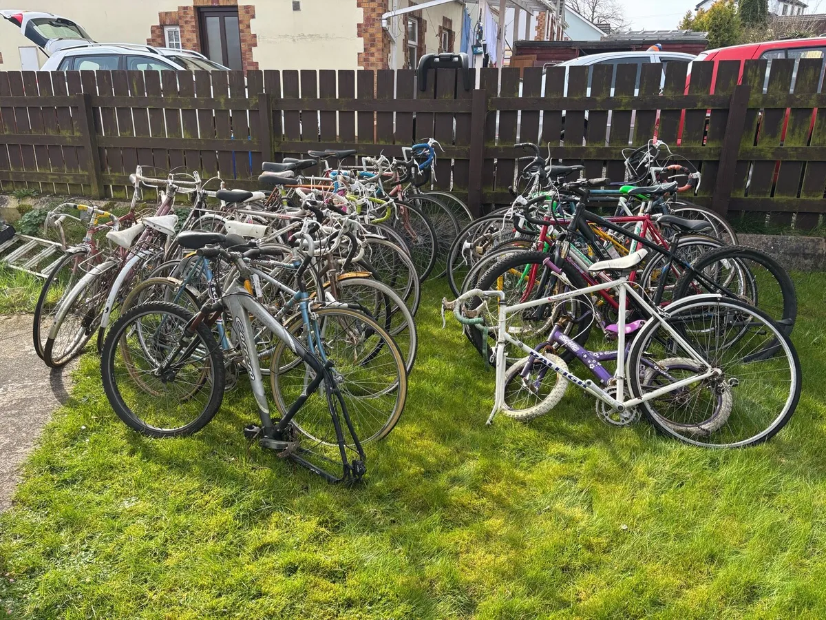 Bike shop for sale - Image 2