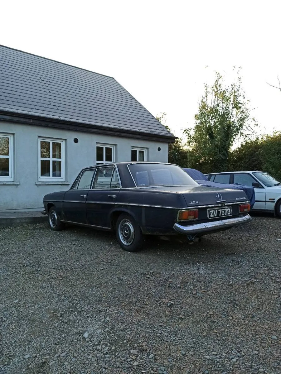 Mercedes 250 w114 2.8l auto - Image 2