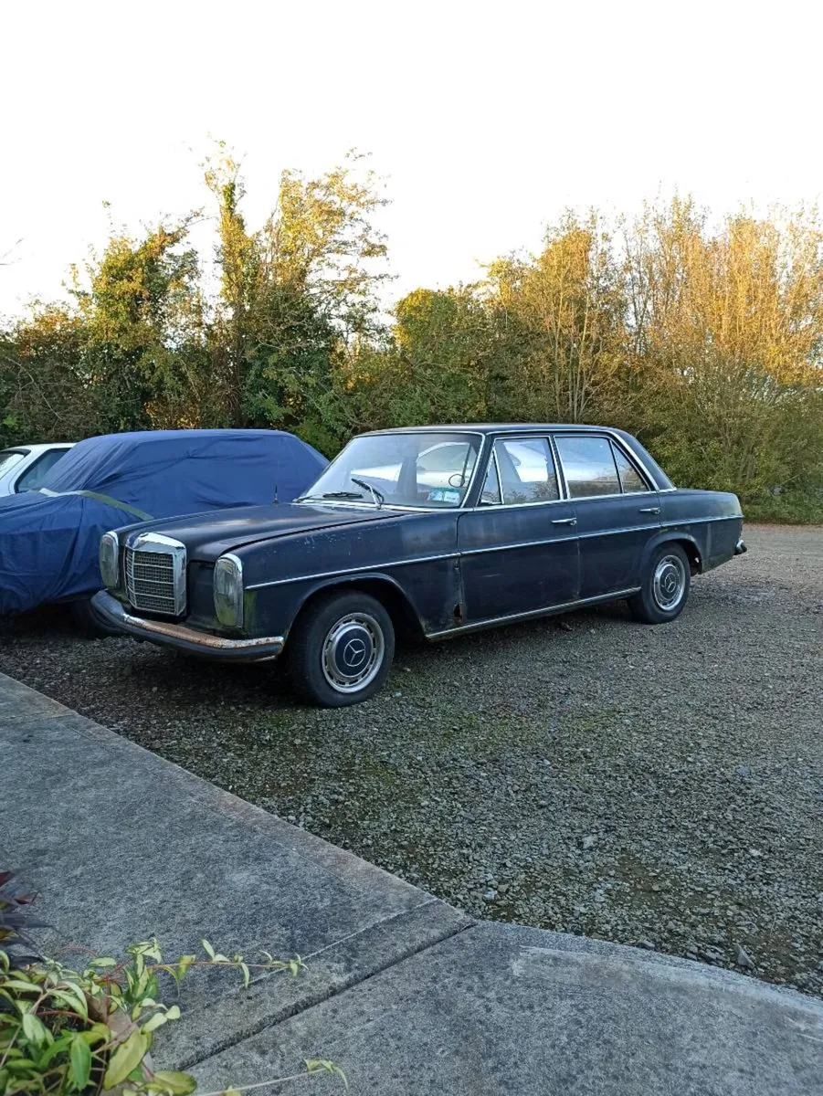 Mercedes 250 w114 2.8l auto - Image 3