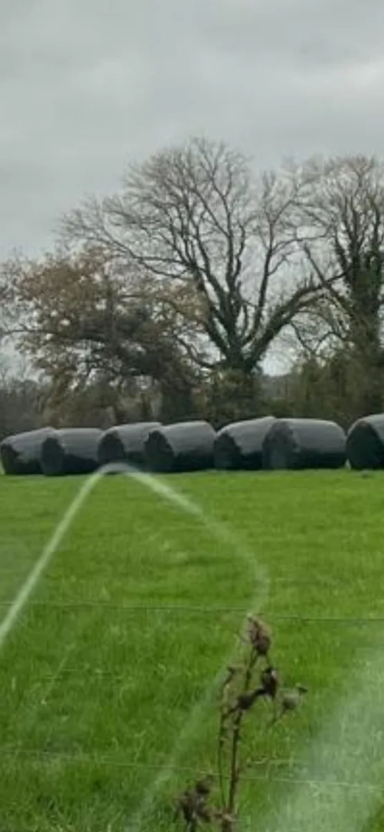 50 round bales of silage  in ballycahill  thurles - Image 1