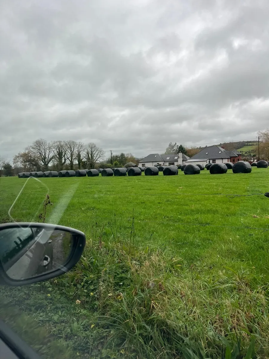 50 round bales of silage  in ballycahill  thurles - Image 2