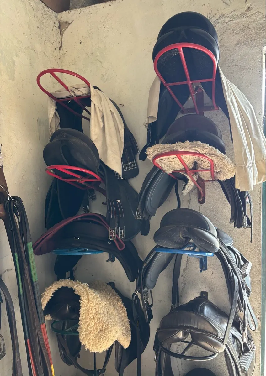 PONY TACK & ACCESSORIES - Image 3