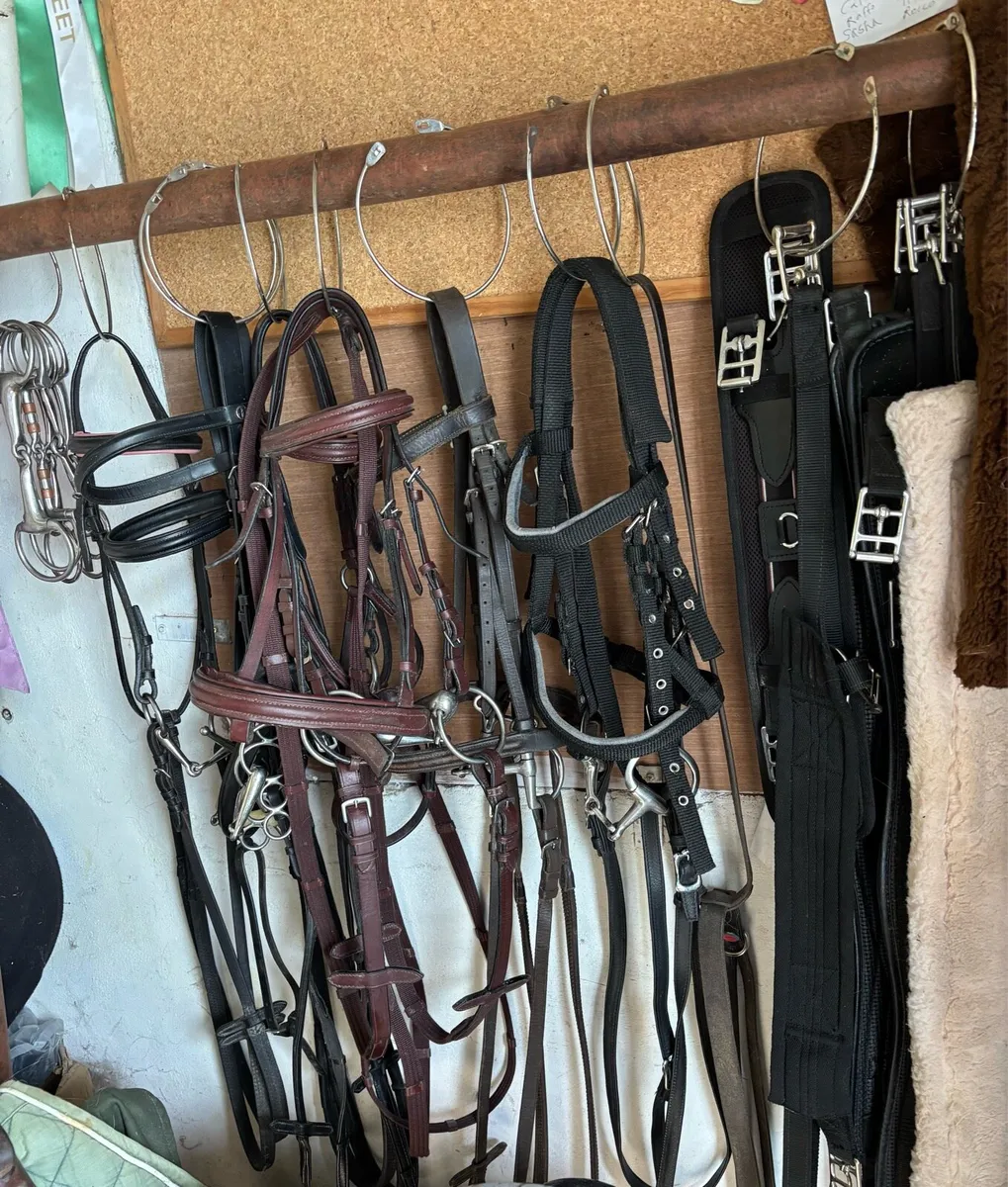 PONY TACK & ACCESSORIES - Image 1
