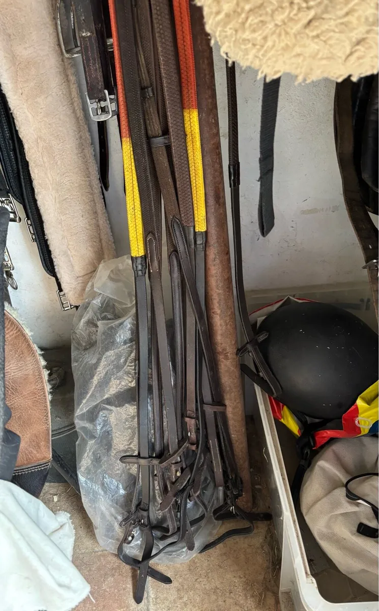 PONY TACK & ACCESSORIES - Image 2