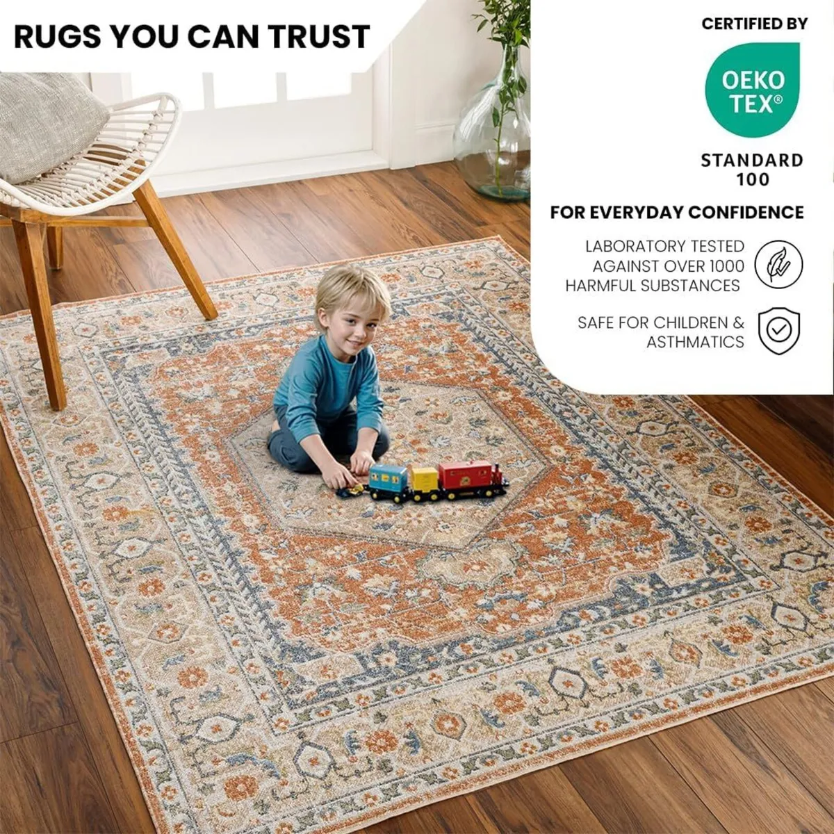 Dukan Machine Washable - Vintage Area Living Room - Image 3