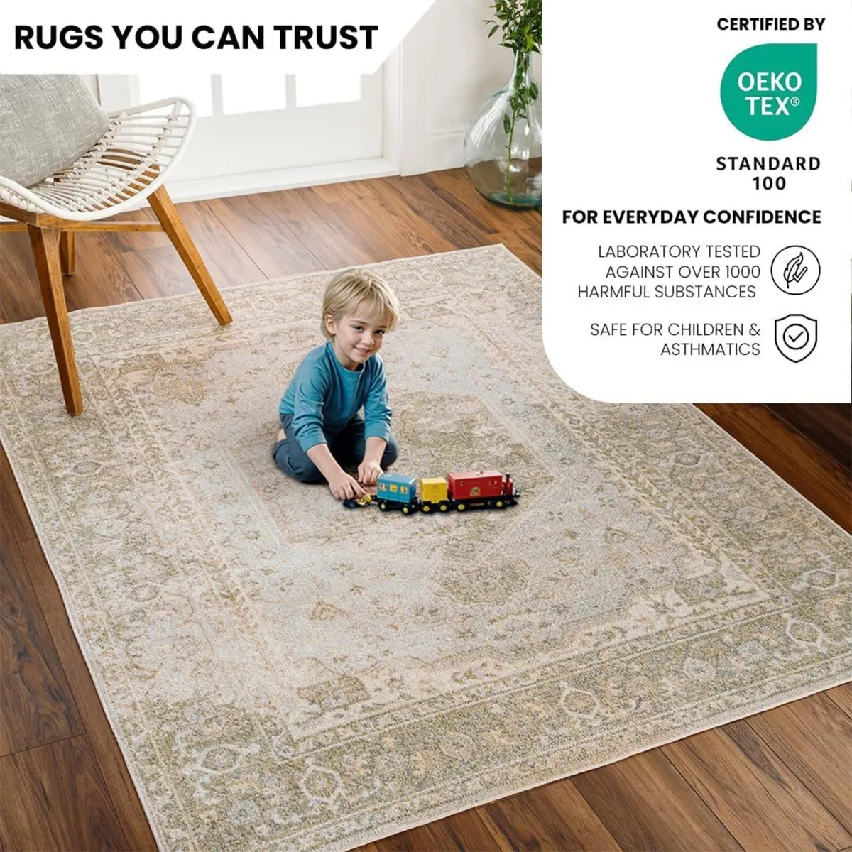 Dukan Machine Washable - Vintage Area Living Room - Image 3