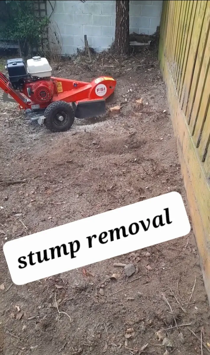 Gardening maintenance & pressure washing services - Image 4