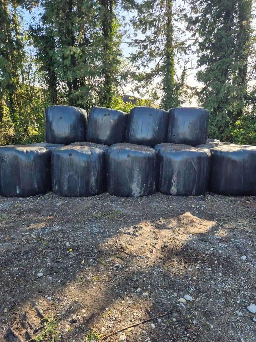 Silage Bales