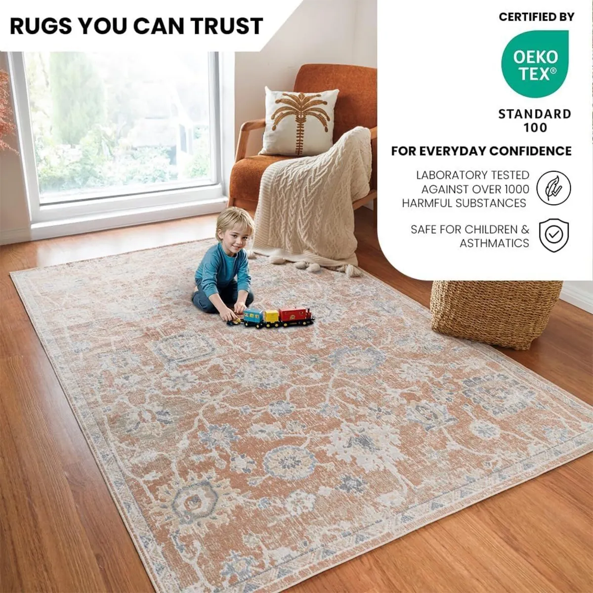 Dakar Machine Washable - Vintage Area Living Room - Image 3