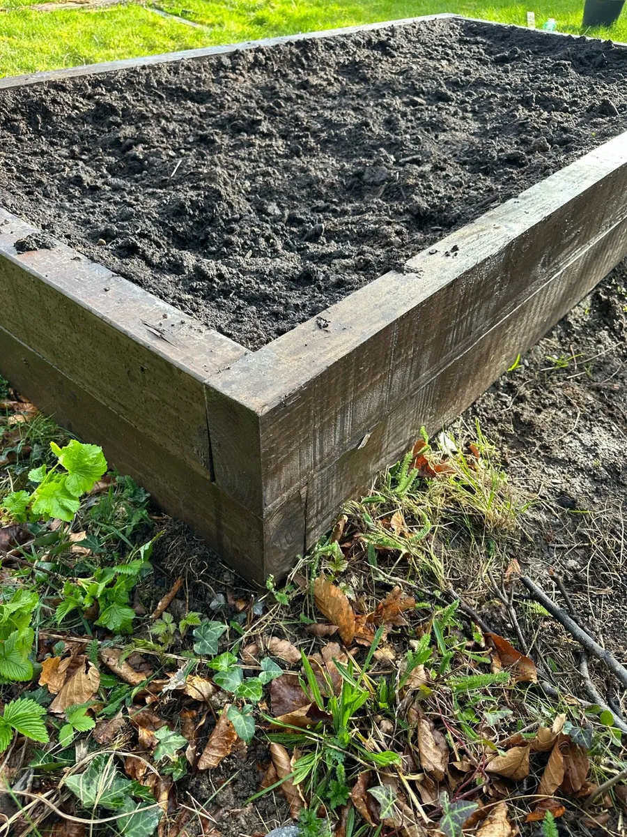 Raised garden beds - Image 4