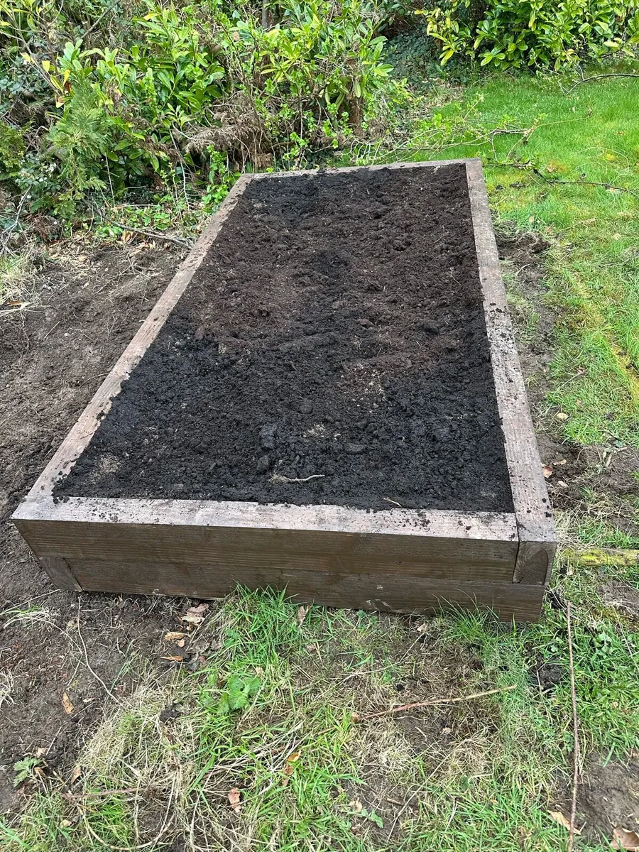 Raised garden beds - Image 2