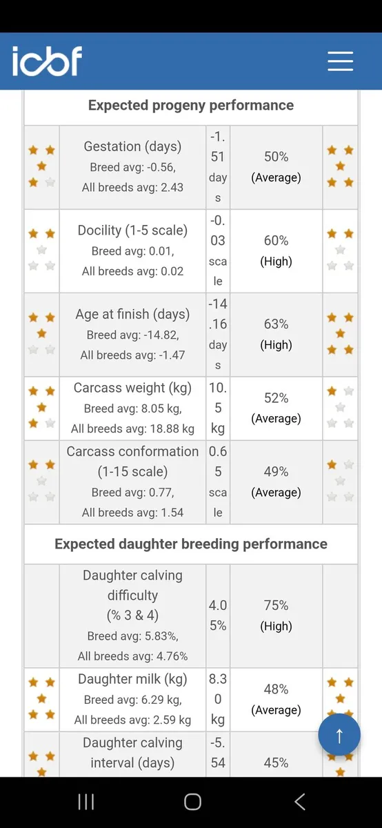 Angus Bull - Image 3