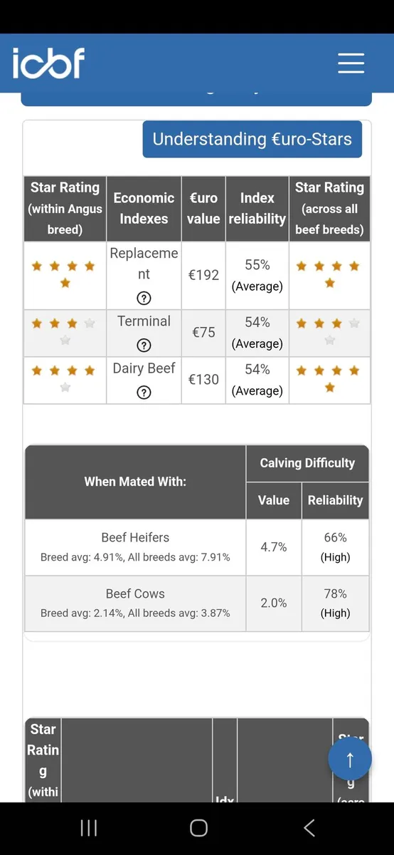 Angus Bull - Image 4