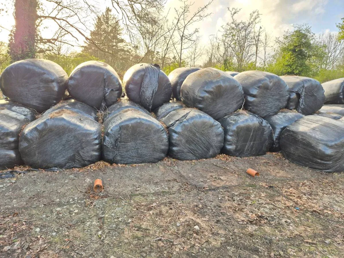 Silage bales